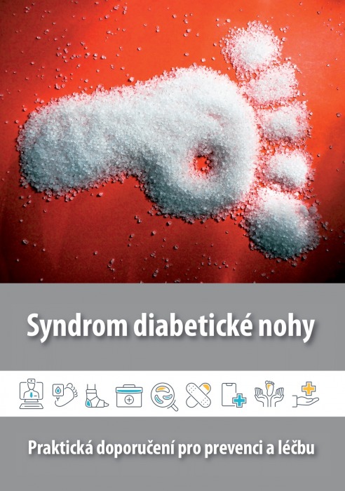 Syndrom diabetické nohy - prevence, diagnostika a terapie