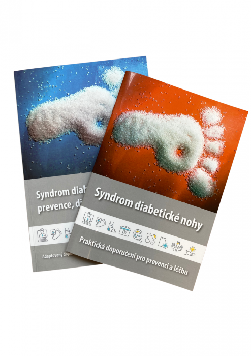 Syndrom diabetické nohy - prevence, diagnostika a terapie
